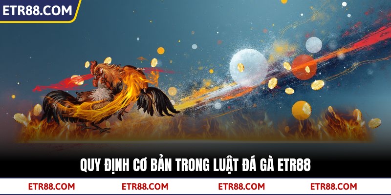 Quy định cơ bản trong luật đá gà TR88 Quy định cơ bản trong luật đá gà TR88